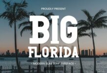 Big Florida Fonts