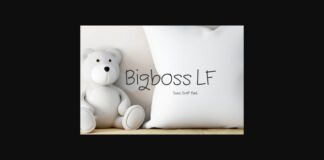 Bigboss Lf Font Poster 1