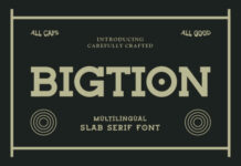 Bigtion Fonts