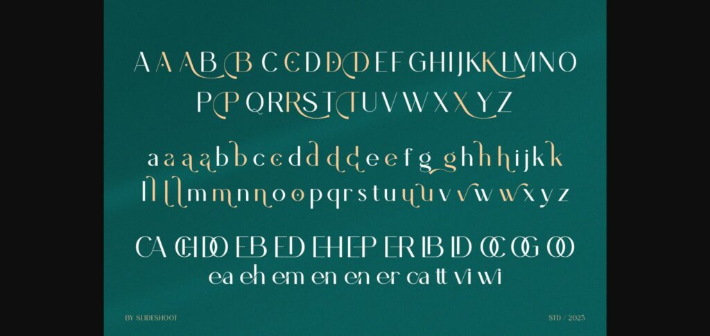 Bileha Font Poster 4