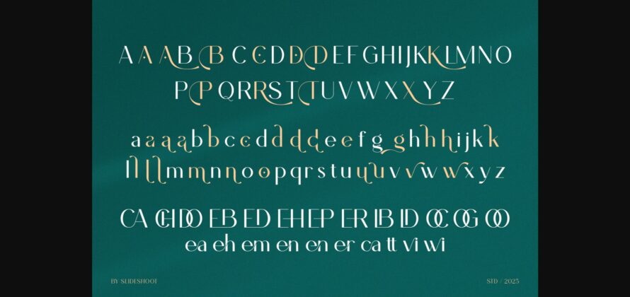 Bileha Font Poster 4