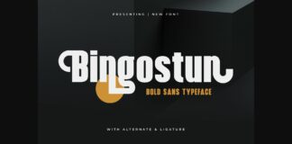 Bingostun Font Poster 1