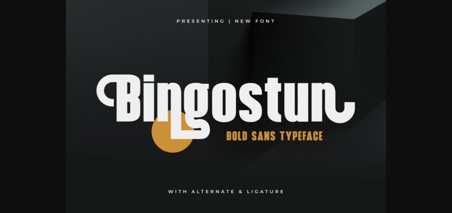 Bingostun Font Poster 1