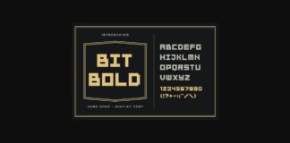 BitBold Font Poster 1