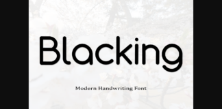 Blacking Font Poster 1