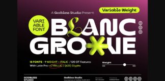 Blanc Groove Font Poster 1