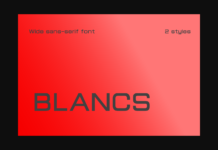 Blancs Font Poster 1