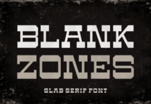 Blank Zones Font