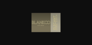 Blankco Outline Black Font Poster 1