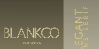 Blankco Outline Light Font