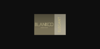 Blankco Outline Medium Font Poster 1