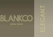 Blankco Outline Medium Font