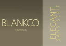 Blankco Outline Thin Font