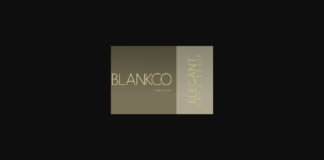 Blankco Thin Font Poster 1