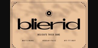 Blierid Font Poster 1