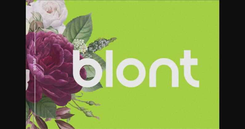 Blont Font Poster 3