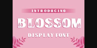 Blossom Font Poster 1