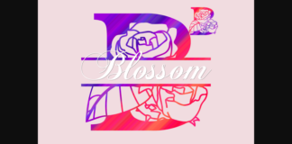 Blossom Split Font Poster 1