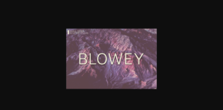 Blowey Font Poster 1