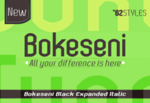 Bokeseni Black Expanded Italic Font