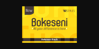 Bokeseni Black Font Poster 1