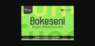 Bokeseni Bold Expanded Font Poster 1