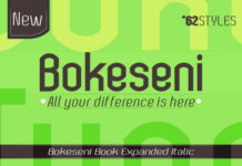 Bokeseni Book Expanded Italic Font