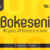 Bokeseni Book Font