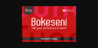 Bokeseni College Font Poster 1