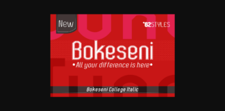 Bokeseni College Italic Font Poster 1