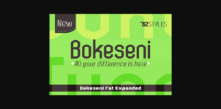 Bokeseni Expanded Fat Font Poster 1