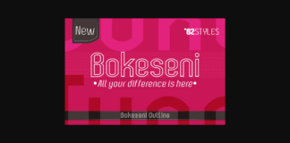 Bokeseni Outline Font Poster 1