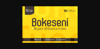 Bokeseni Regular Font Poster 1