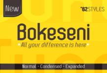 Bokeseni Regular Font