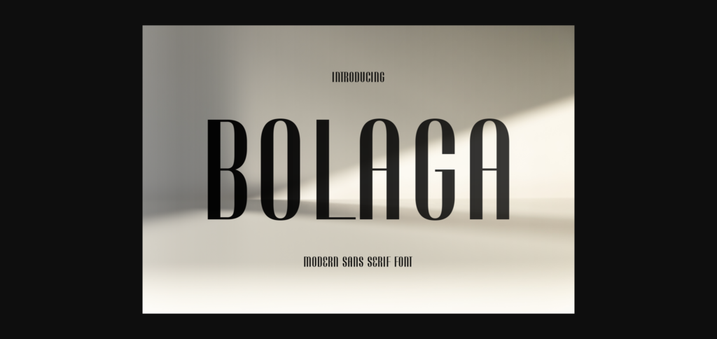 Bolaga Font Poster 3