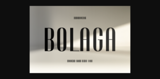 Bolaga Font Poster 1