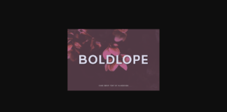 Boldlope Font Poster 1