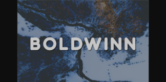 Boldwinn Font Poster 1