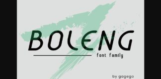 Boleng Font Poster 1