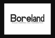 Boreland Font Poster 1