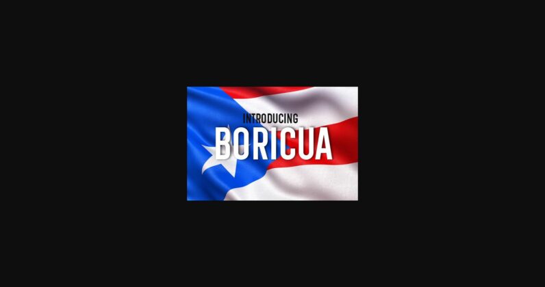 Boricua Font Poster 3