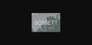 Bossett Font Poster 1