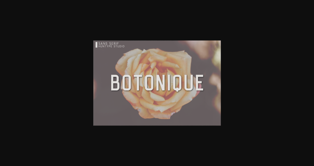 Botonique Font Poster 3