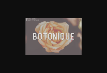 Botonique Font Poster 1