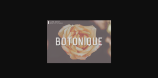 Botonique Font Poster 1