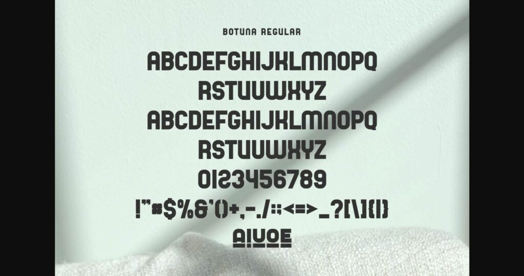 Botuna Font Poster 7