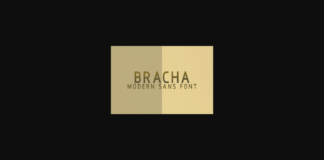 Bracha Font Poster 1