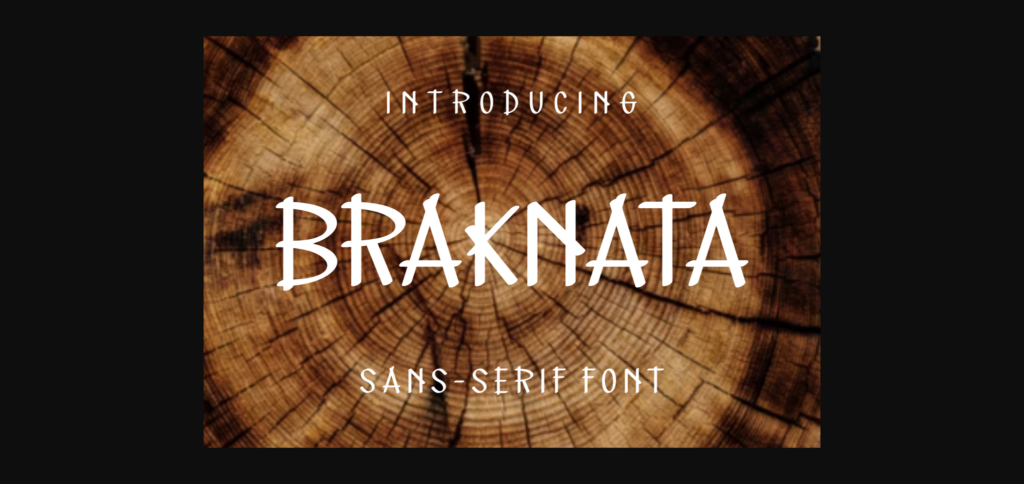 Braknata Font Poster 3