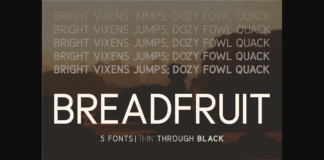 Breadfruit Font Poster 1