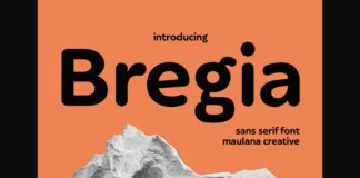 Bregia Font Poster 1